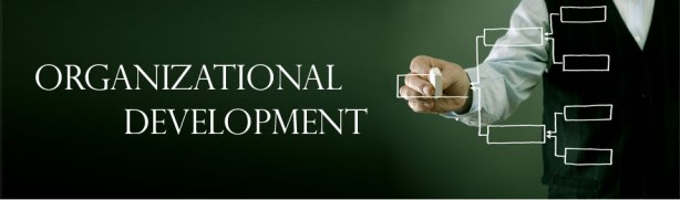 organizationaldevelopment